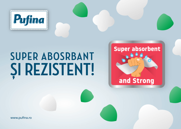 PB Home care Ultra absorbant si puternic 01 min